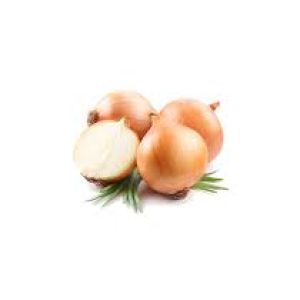 Cipolle secche dorate 