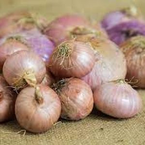 Cipolle secche dorate 500gr circa