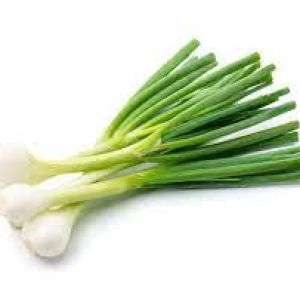 Cipollotti 