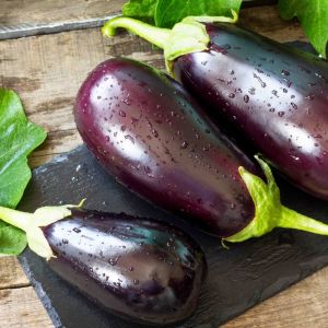 Melanzane Tonde 