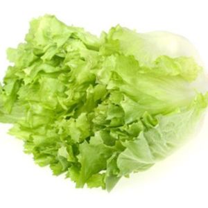 Insalata Scarola 