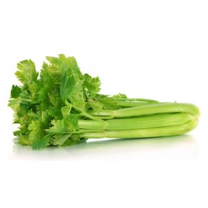 Sedano 0,9-1kg circa