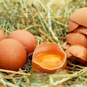 PRENOTAZIONE per Spedizioni nel resto d'Italia: Uova freschissime (Confezioni da 6) COD. 002