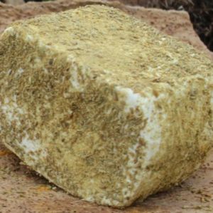 Cacioricotta speziata ai semi di Finocchio 0,3Kg