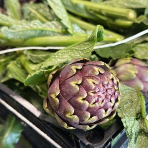Carciofi 1 unit&agrave;