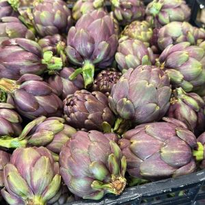 Carciofina 1Kg