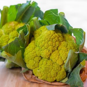 Cavolfiore Macerata
