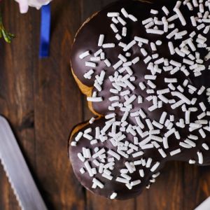 Colomba artigianale al cioccolato 1kg