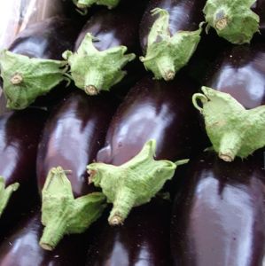 Melanzane Tonde