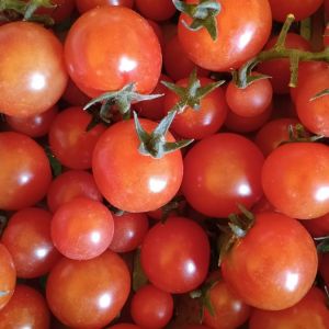 Pomodori Ciliegino 0,5Kg