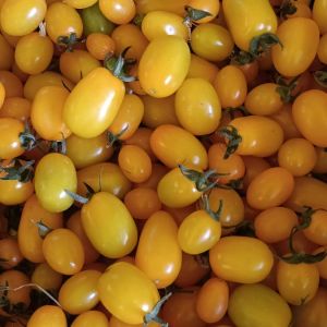 Datterini rossi gialli arancioni 0,5Kg