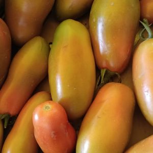 Pomodori San Marzano 1Kg