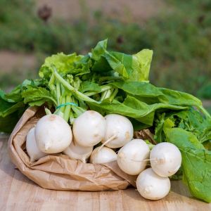 Rape bianche (Mazzo)