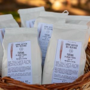 Farina Tipo 1