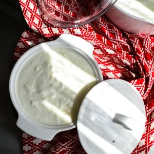 Yogurt bianco Magro155gr