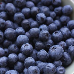 Yogurt Magro ai Mirtilli 155gr