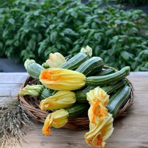 Zucchine romanesche Cassetta 5kg